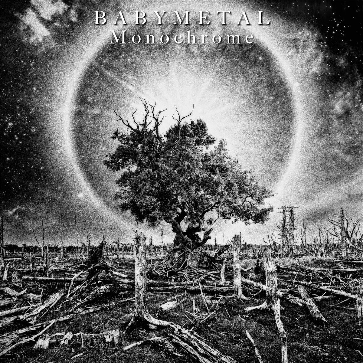 Album cover of Monochrome