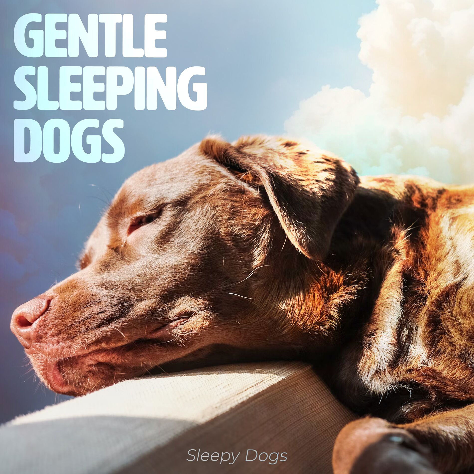 Album cover of Gentle Sleeping Dogs
