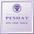 On The Nile