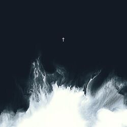 Cover of The Remixes