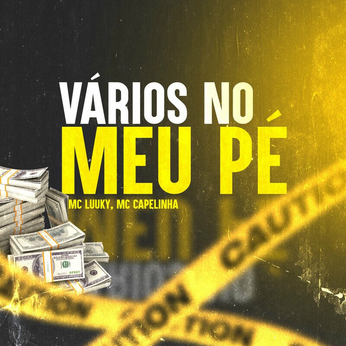 Album cover of Varios no meu pé