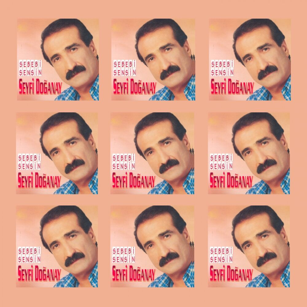 Picture of Sebebi Sensin
