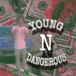 Cover of Young n dangerous
