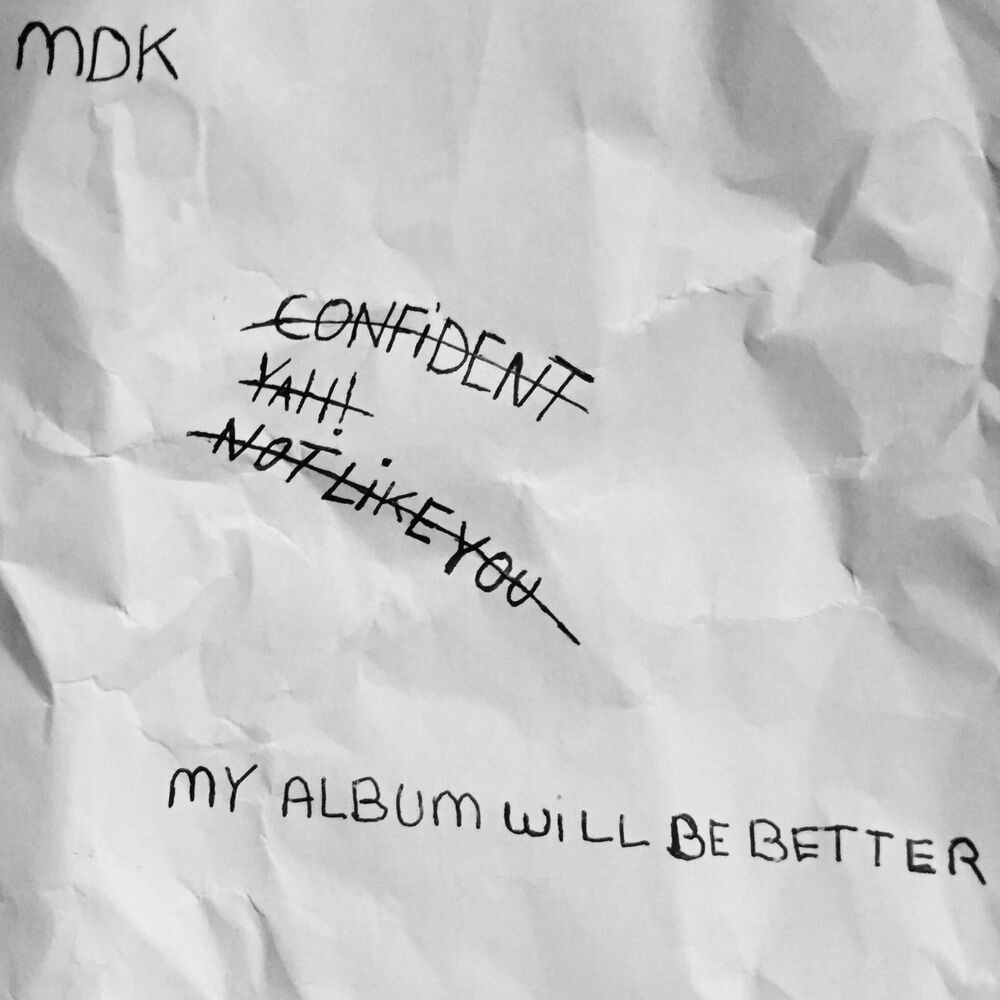 Picture of My Album Will Be Better