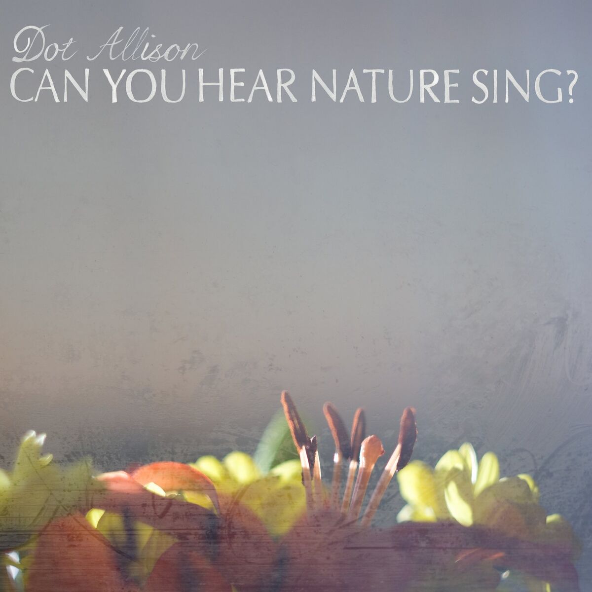 Album cover of Can You Hear Nature Sing?