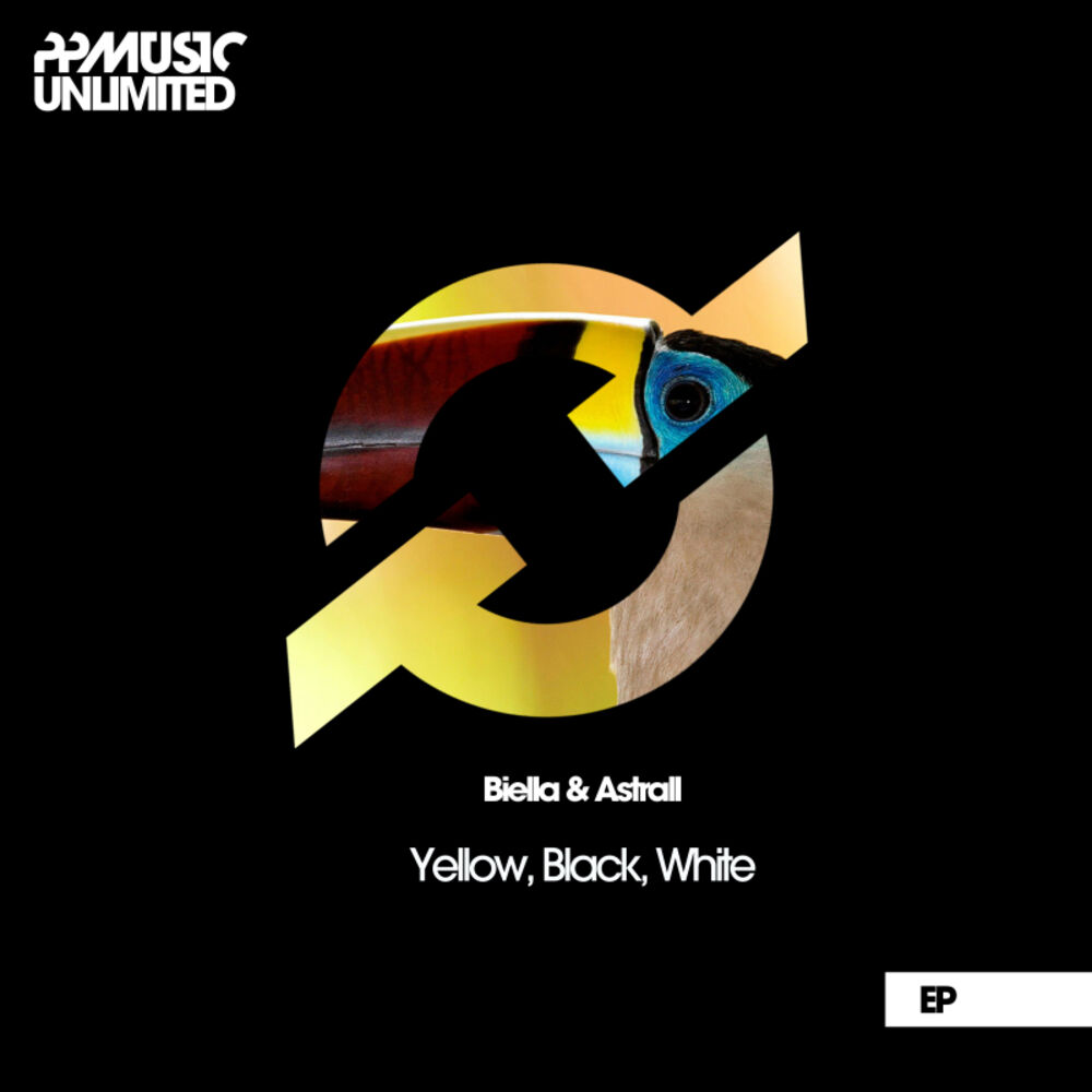 Picture of Yellow, Black, White