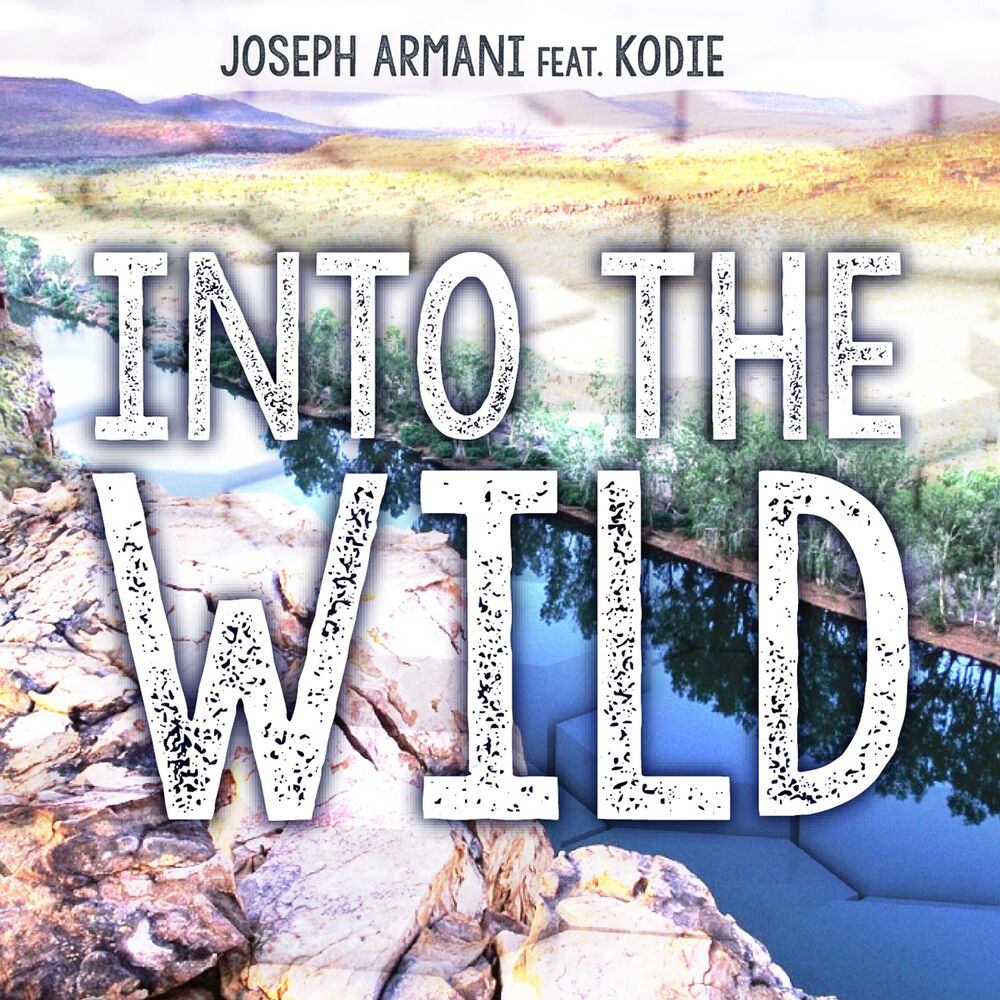 Picture of Into the Wild