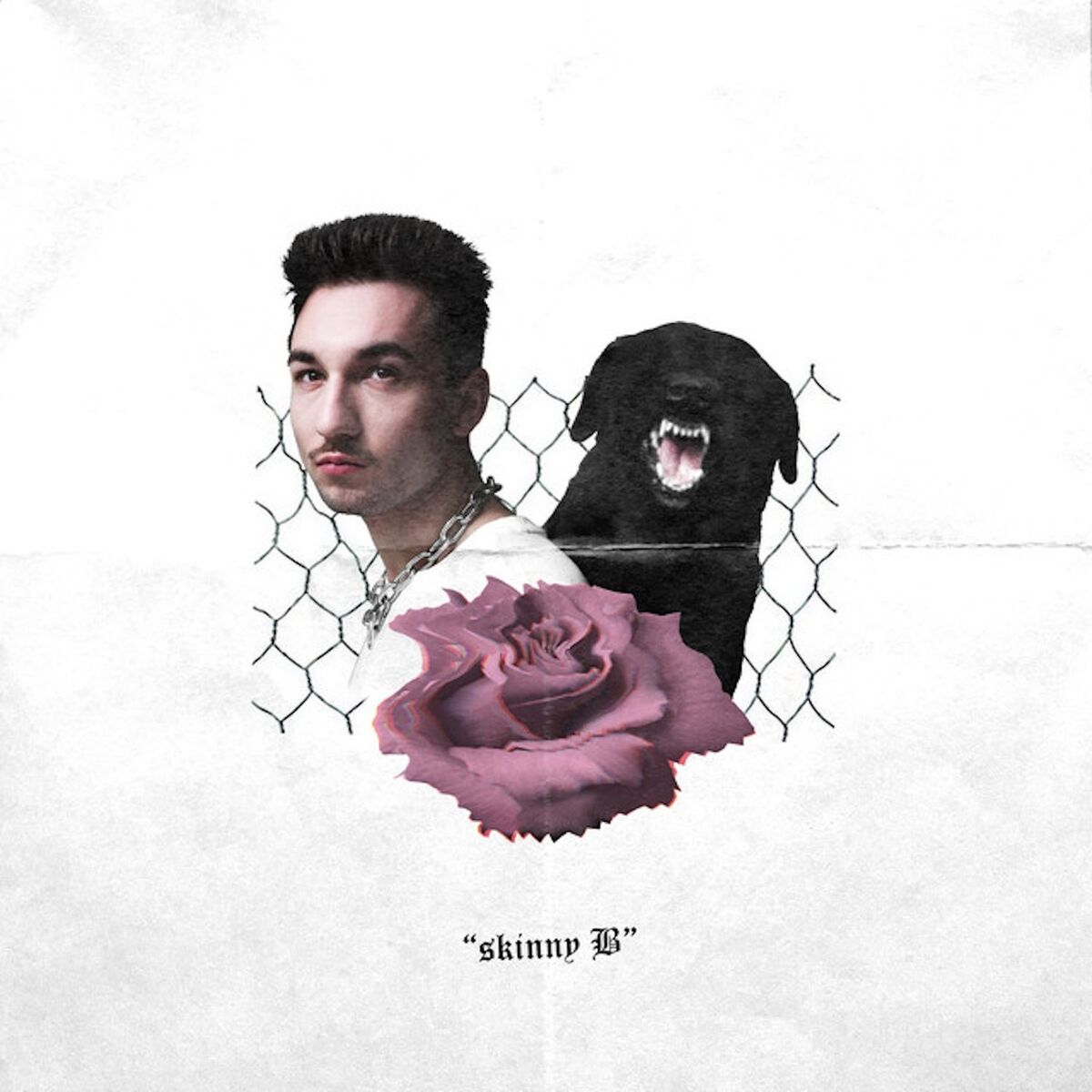Album cover of Skinny B