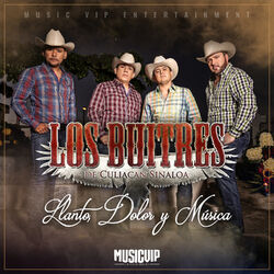 Cover of Llanto, Dolor y Música