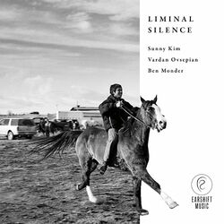 Cover of Liminal Silence