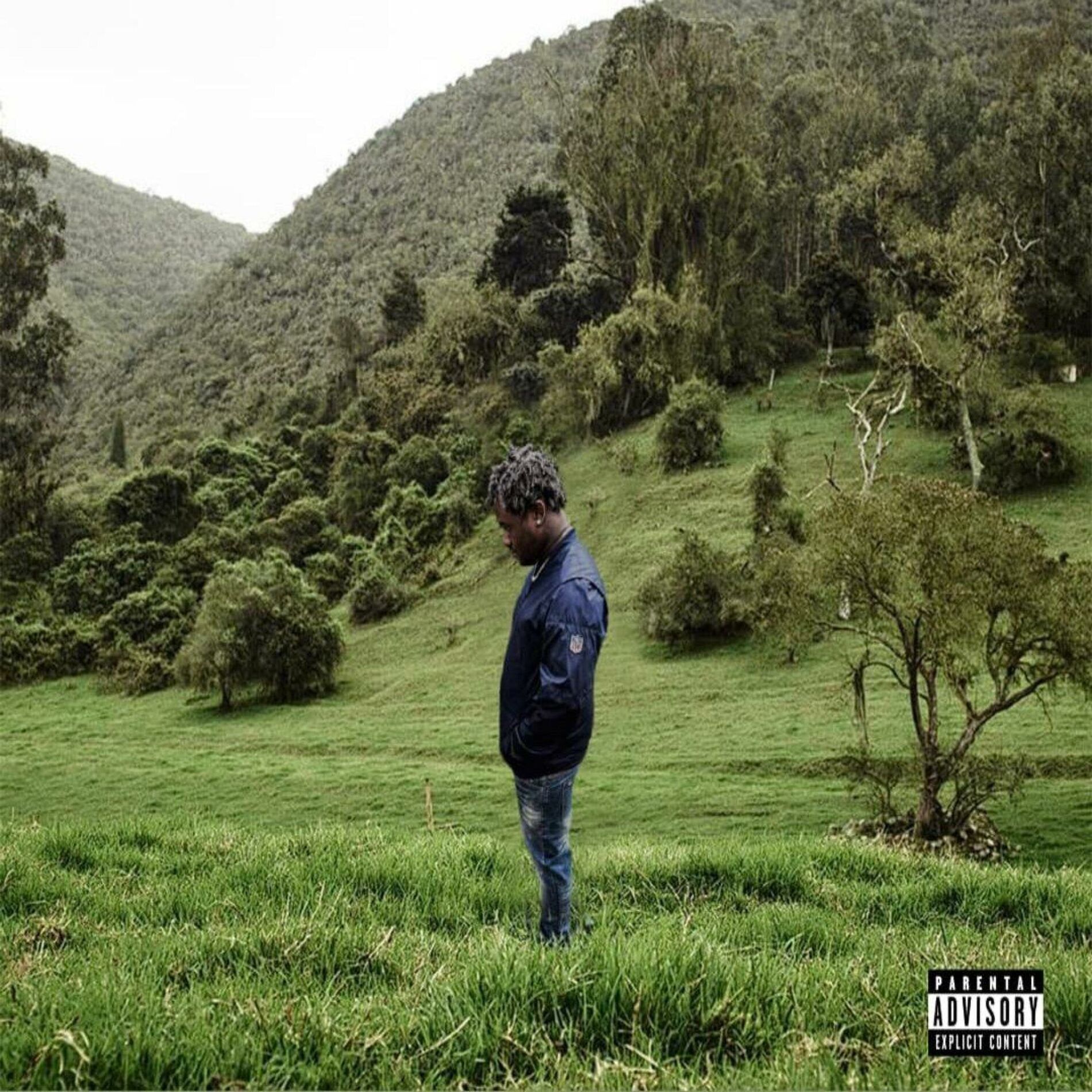 Album cover of Gustavo