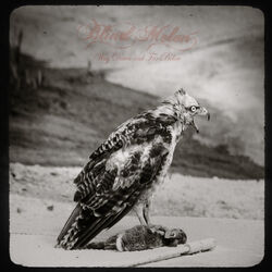 Cover of Way Down and Far Below