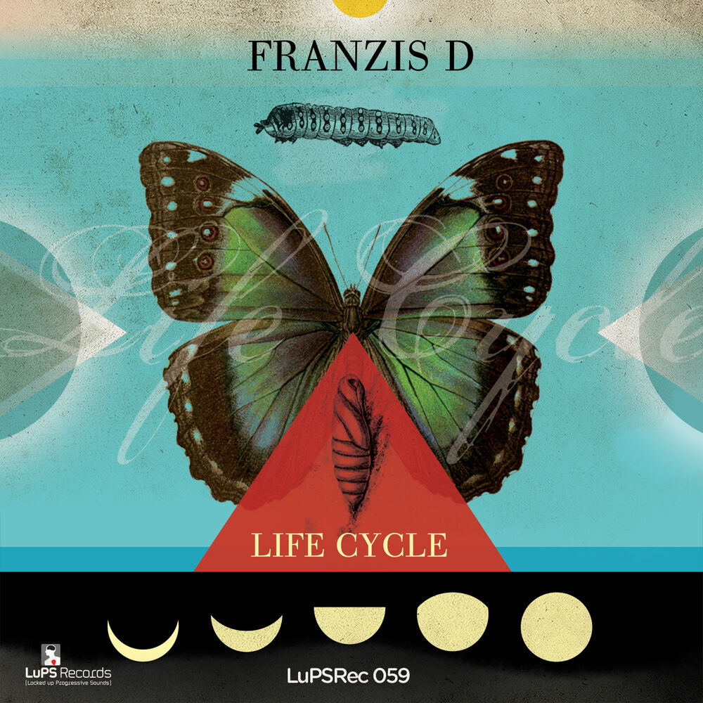 Picture of Life Cycle