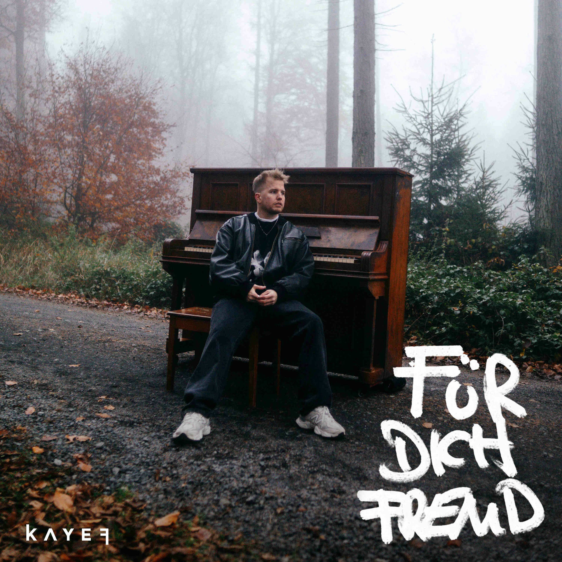 Album cover of FÜR DICH FREMD