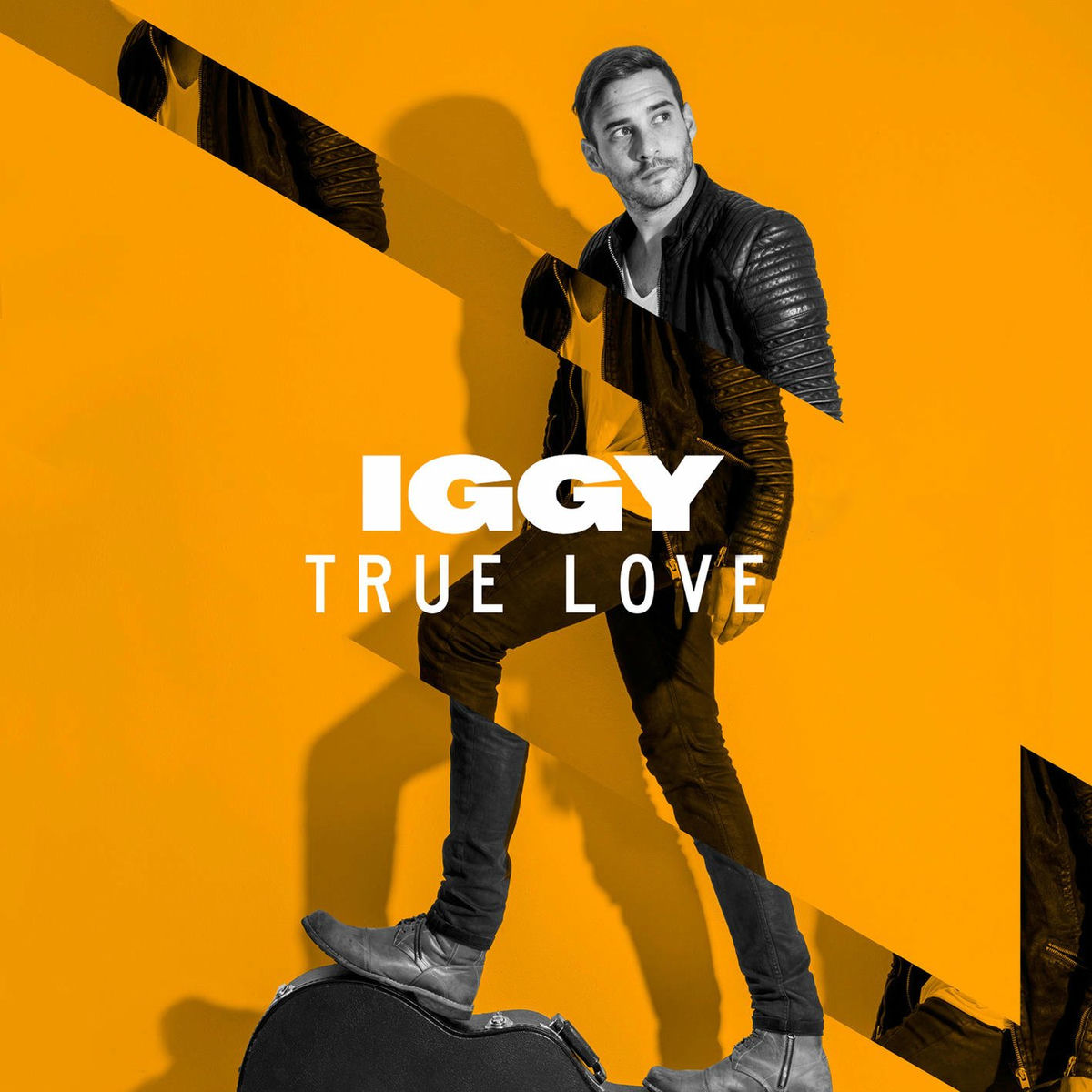 Album cover of True Love