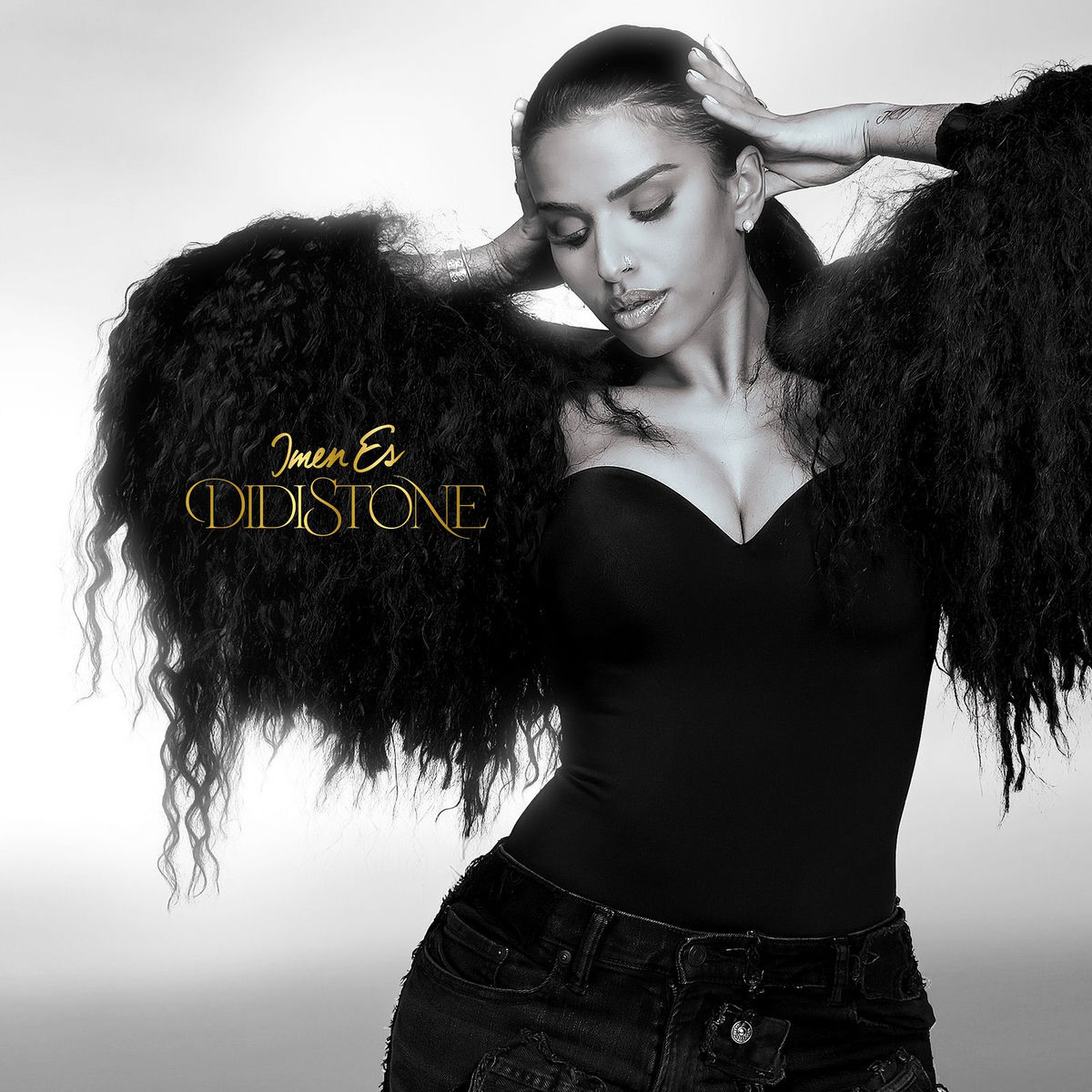 Album cover of DidiStone