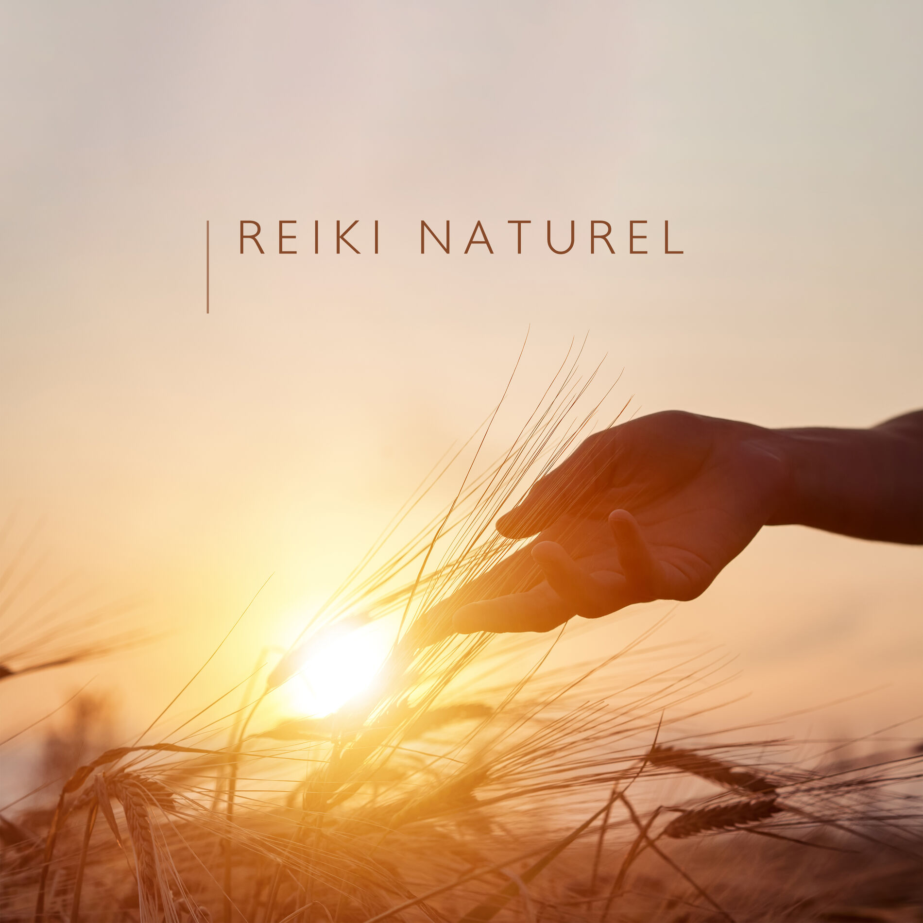 Album cover of Reiki naturel: Musique pour la réduction du stress et la relaxation
