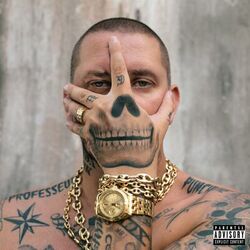 Cover of Professeur Punchline