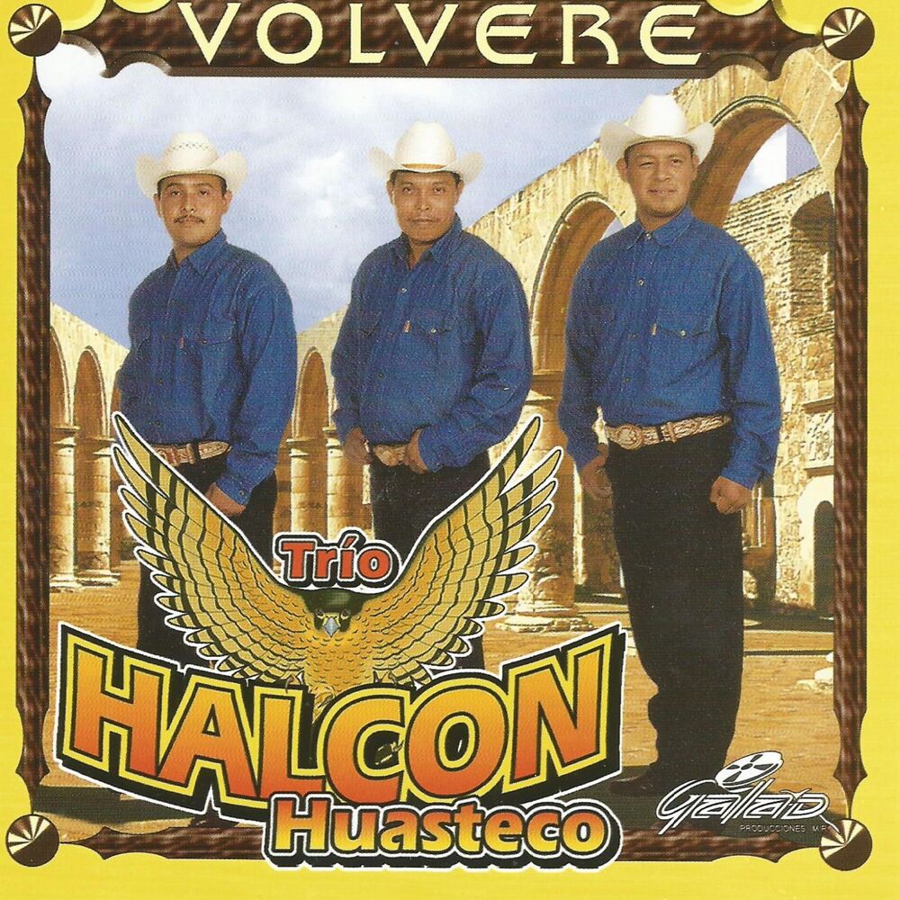 Picture of Volveré