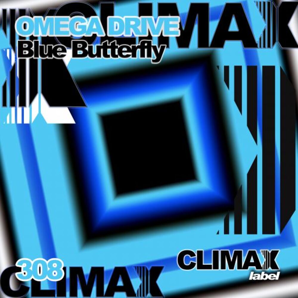Picture of Blue Butterfly