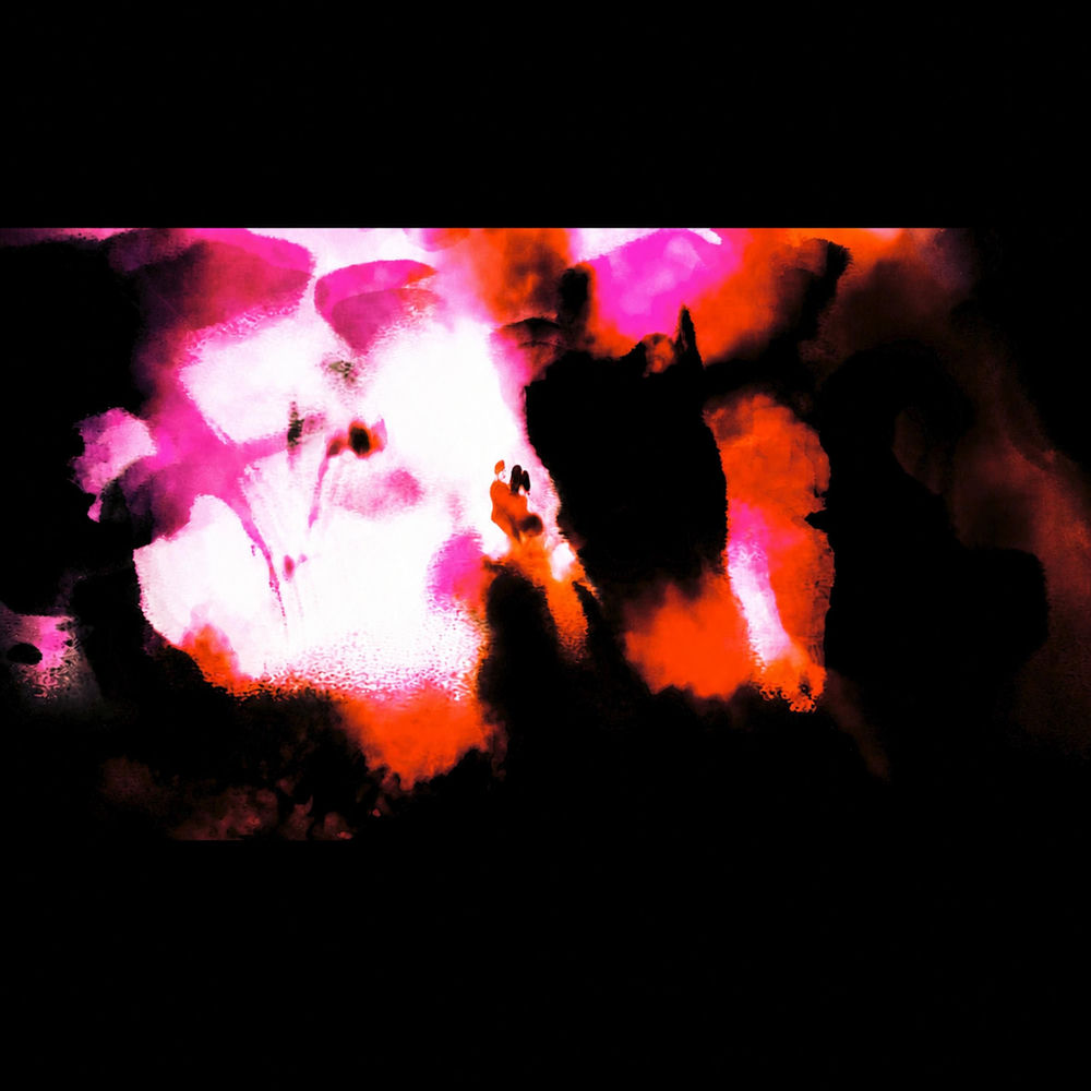 HALLUCINATIONS