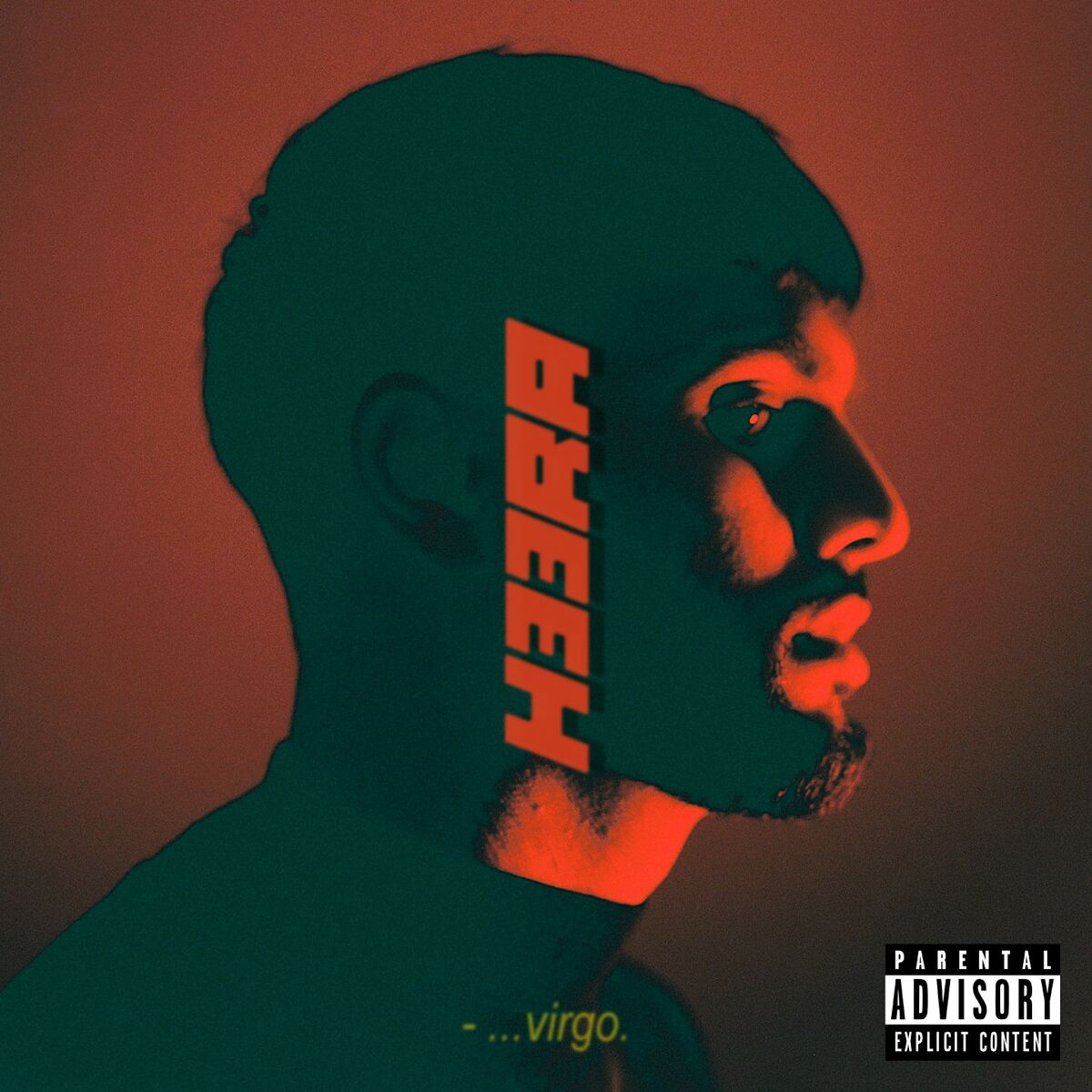 Album cover of VIRGO