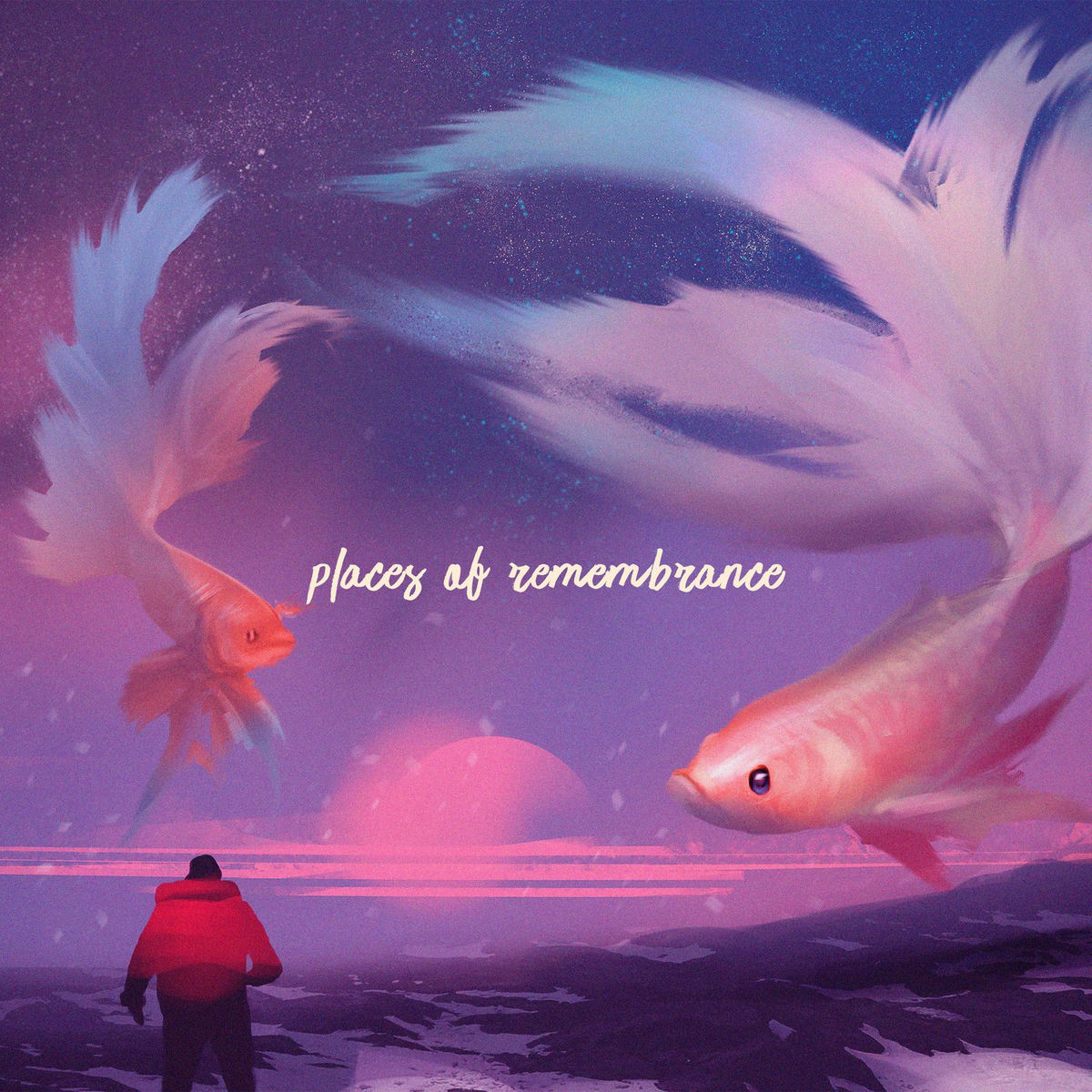 Album cover of The Sun in her Eyes