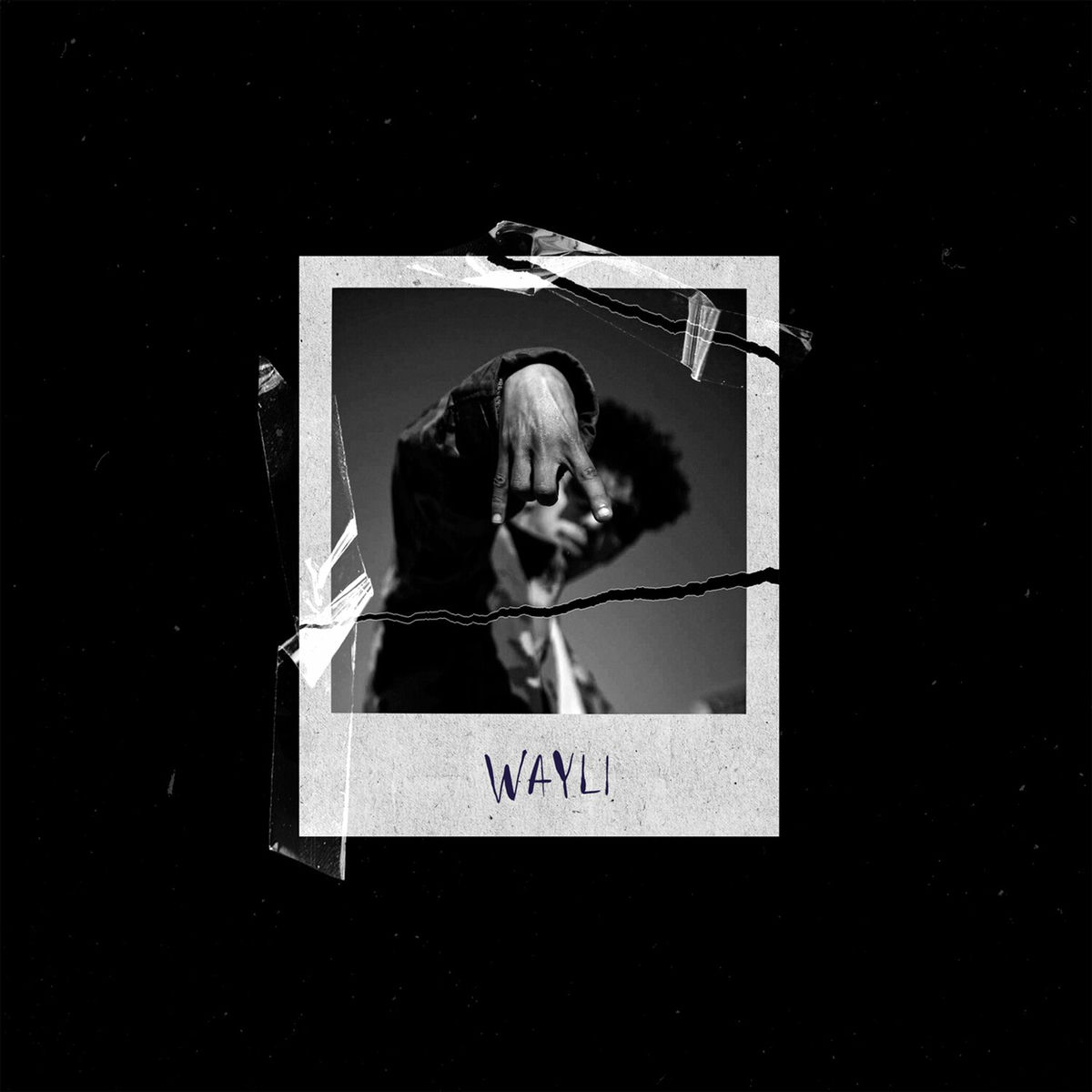 Album cover of Wayli