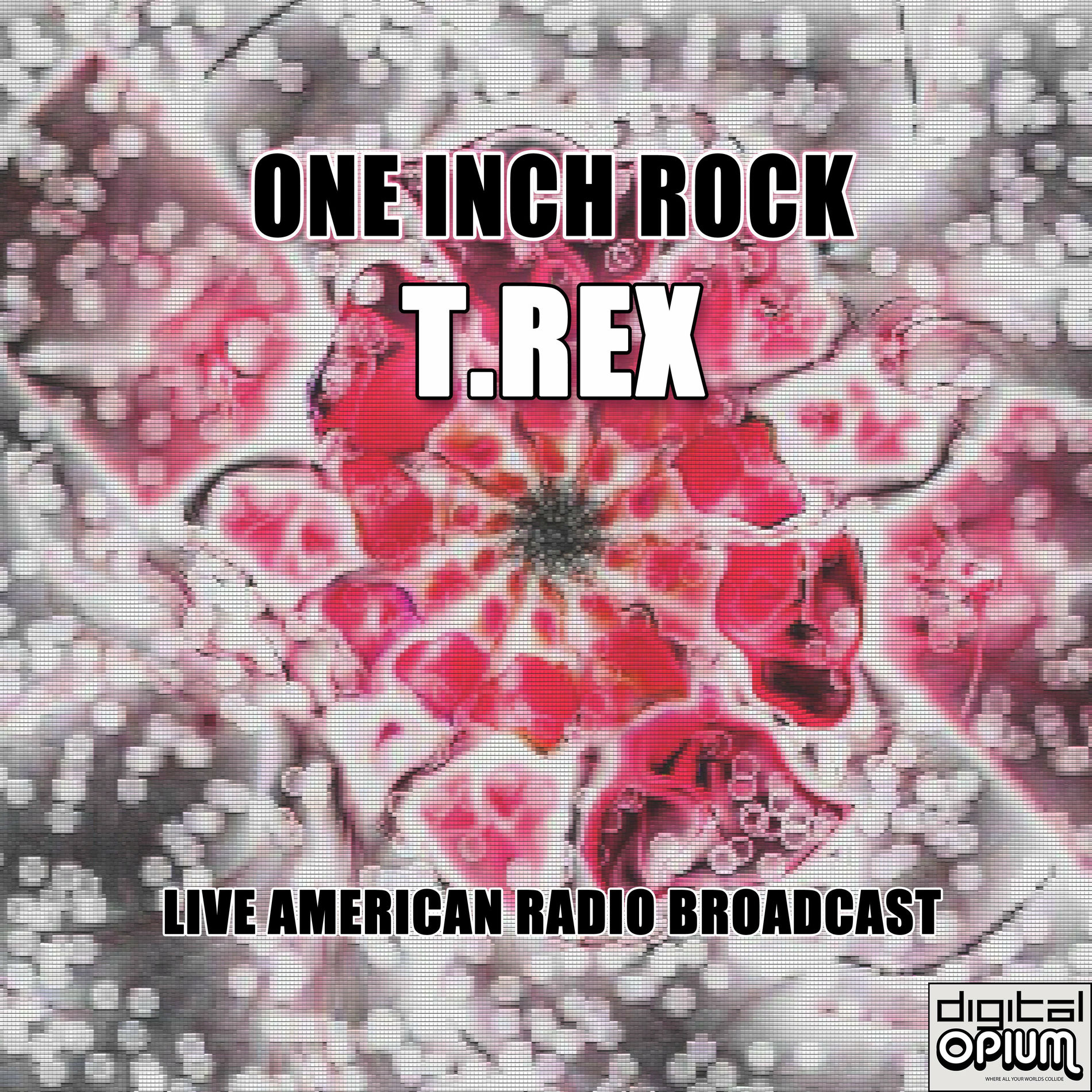 Album cover of One Inch Rock (Live)