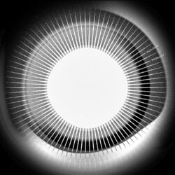 Cover of Moonlight