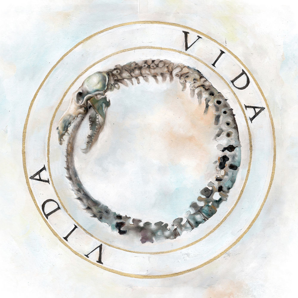 Picture of Vida
