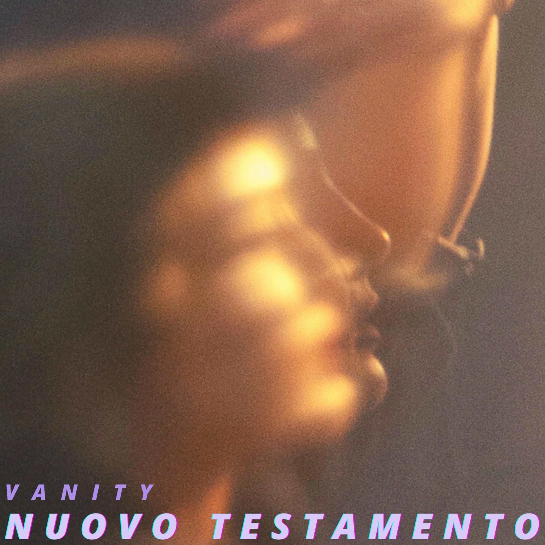 Album cover of Vanity