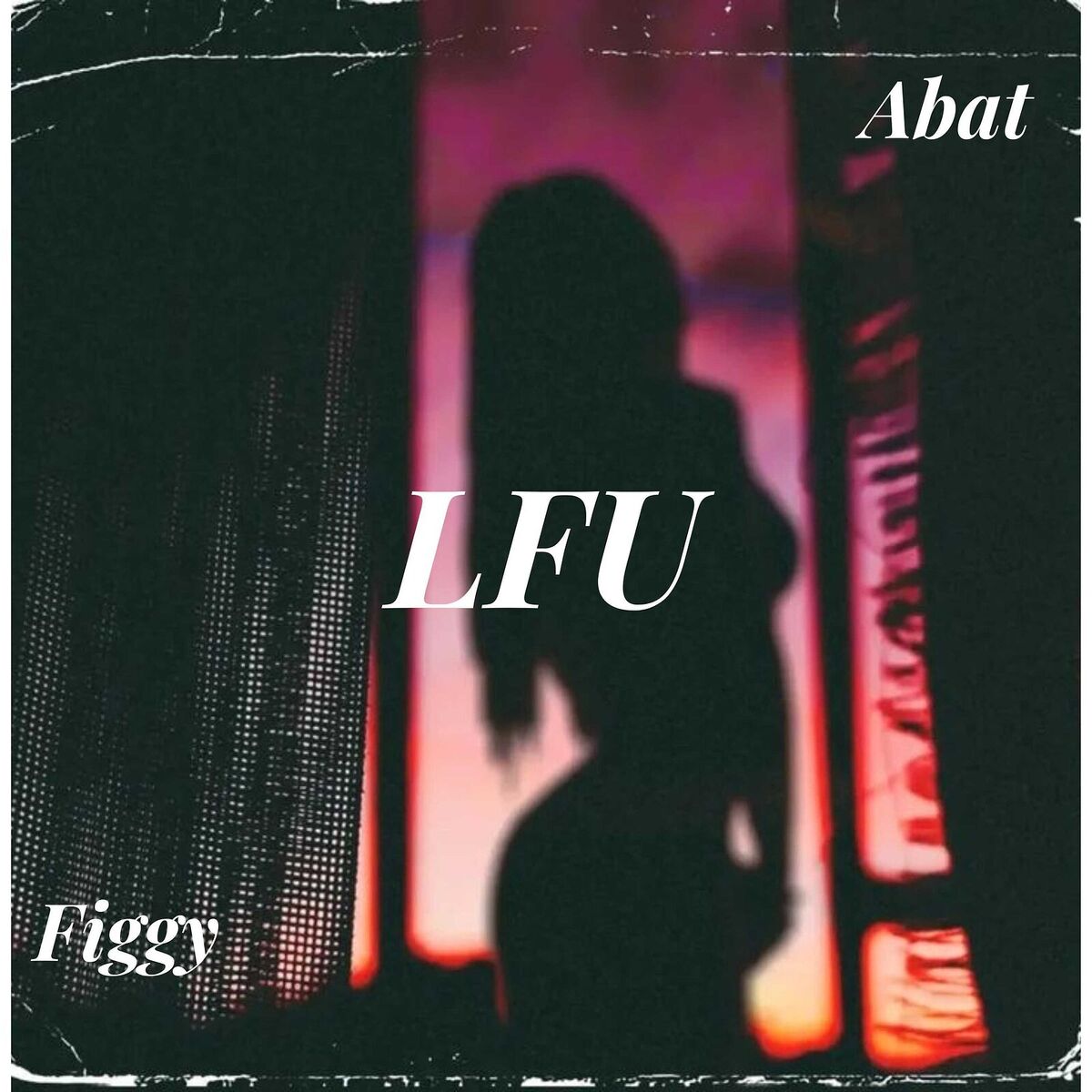 Album cover of Lfu