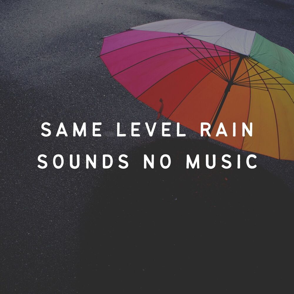 Picture of Same Level Rain Sounds No Music
