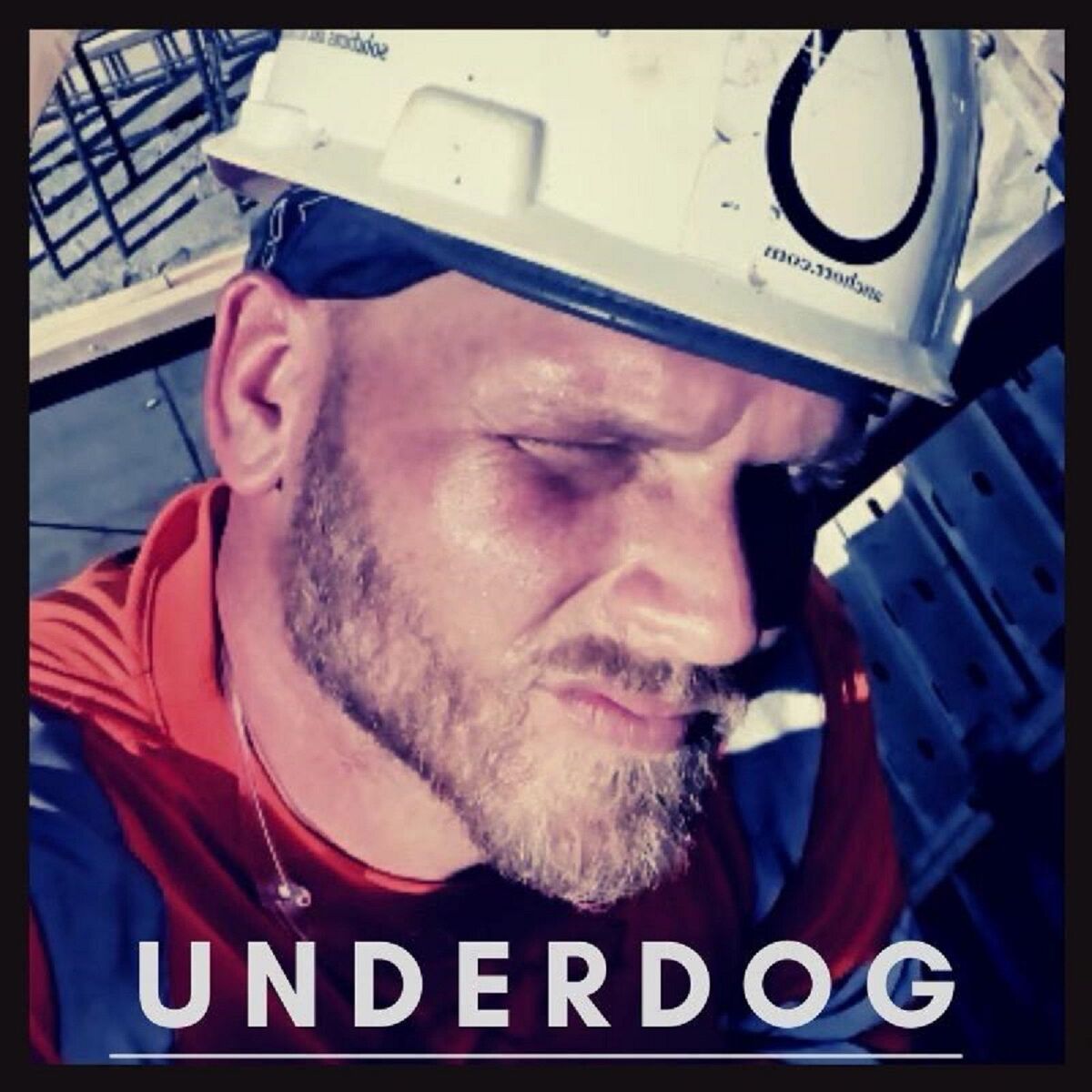 Album cover of Underdog