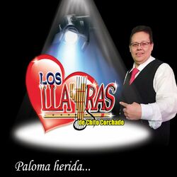 Cover of Paloma Herida...