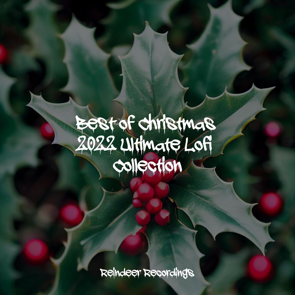 Picture of Best of Christmas 2022 Ultimate Lofi Collection