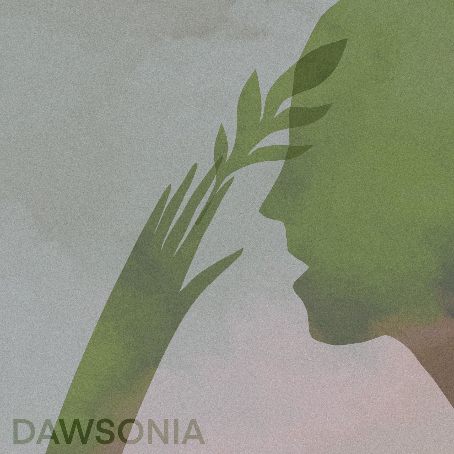 Album cover of Dawsonia