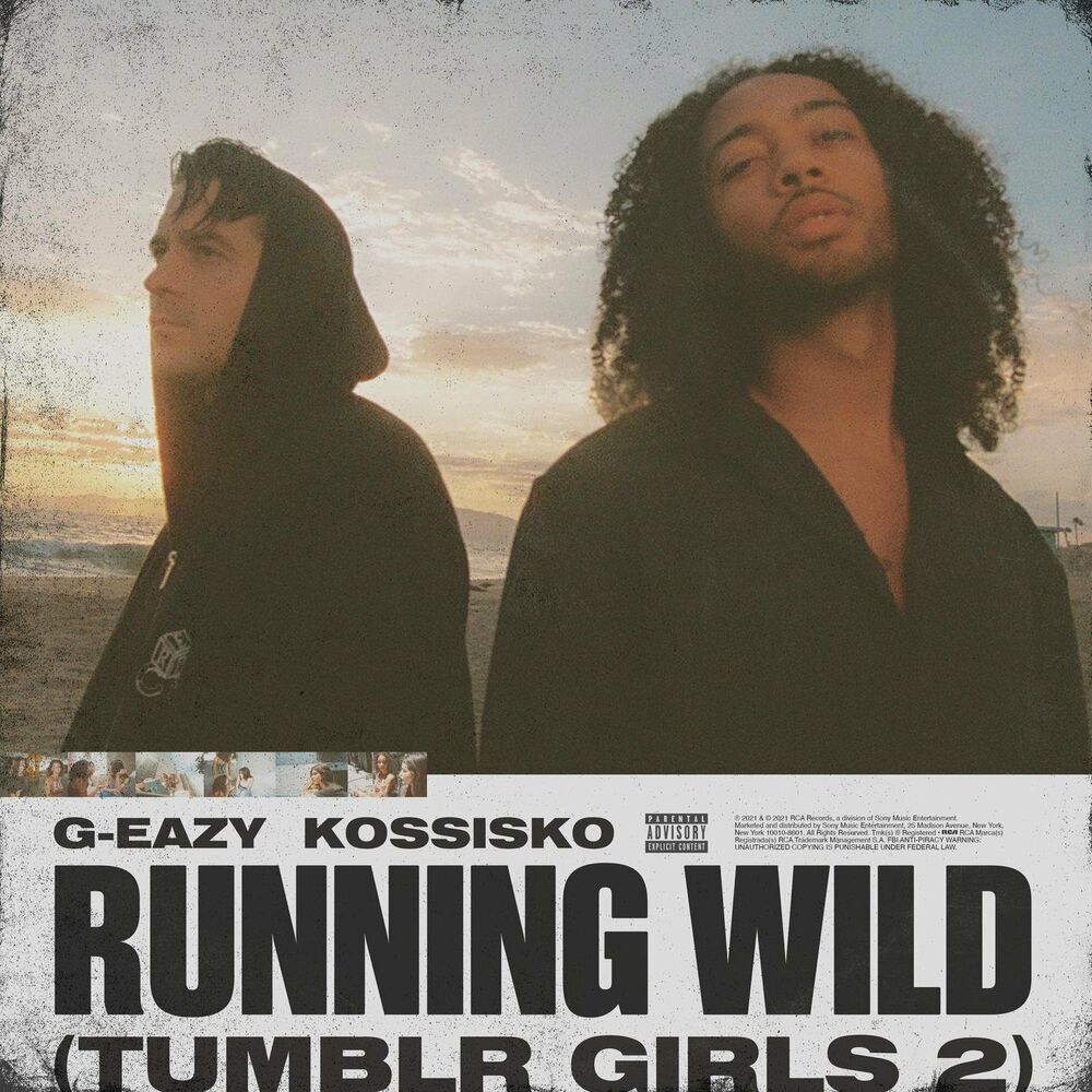 Picture of Running Wild (Tumblr Girls 2) (feat. Kossisko)