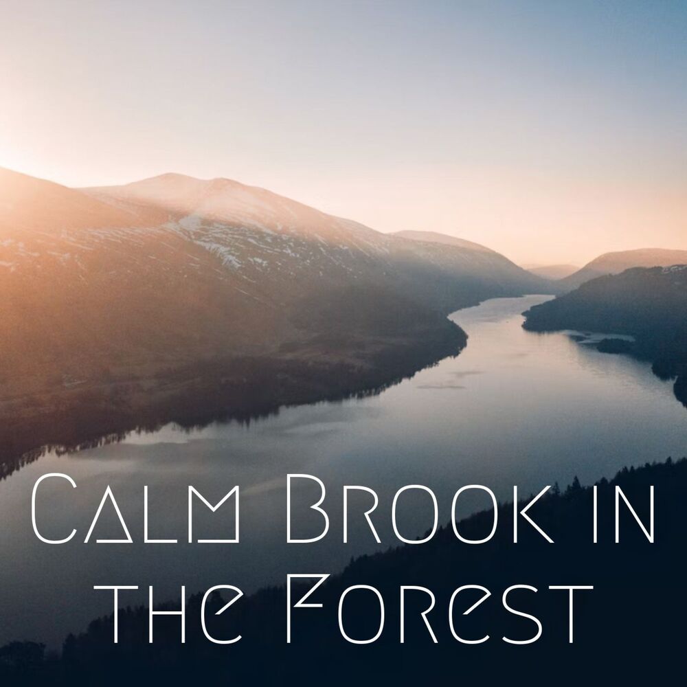 Picture of Calm Brook in the Forest