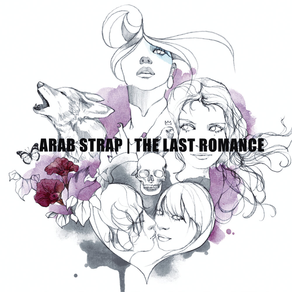 Picture of The Last Romance