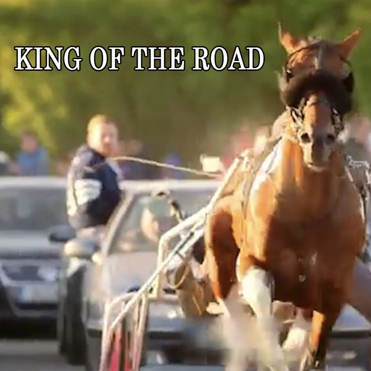 Album cover of King of the Road