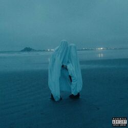 Cover of DIVE