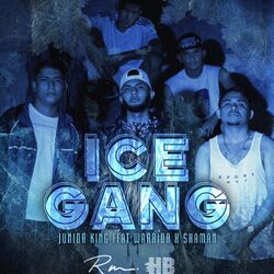 Cover of IceGang
