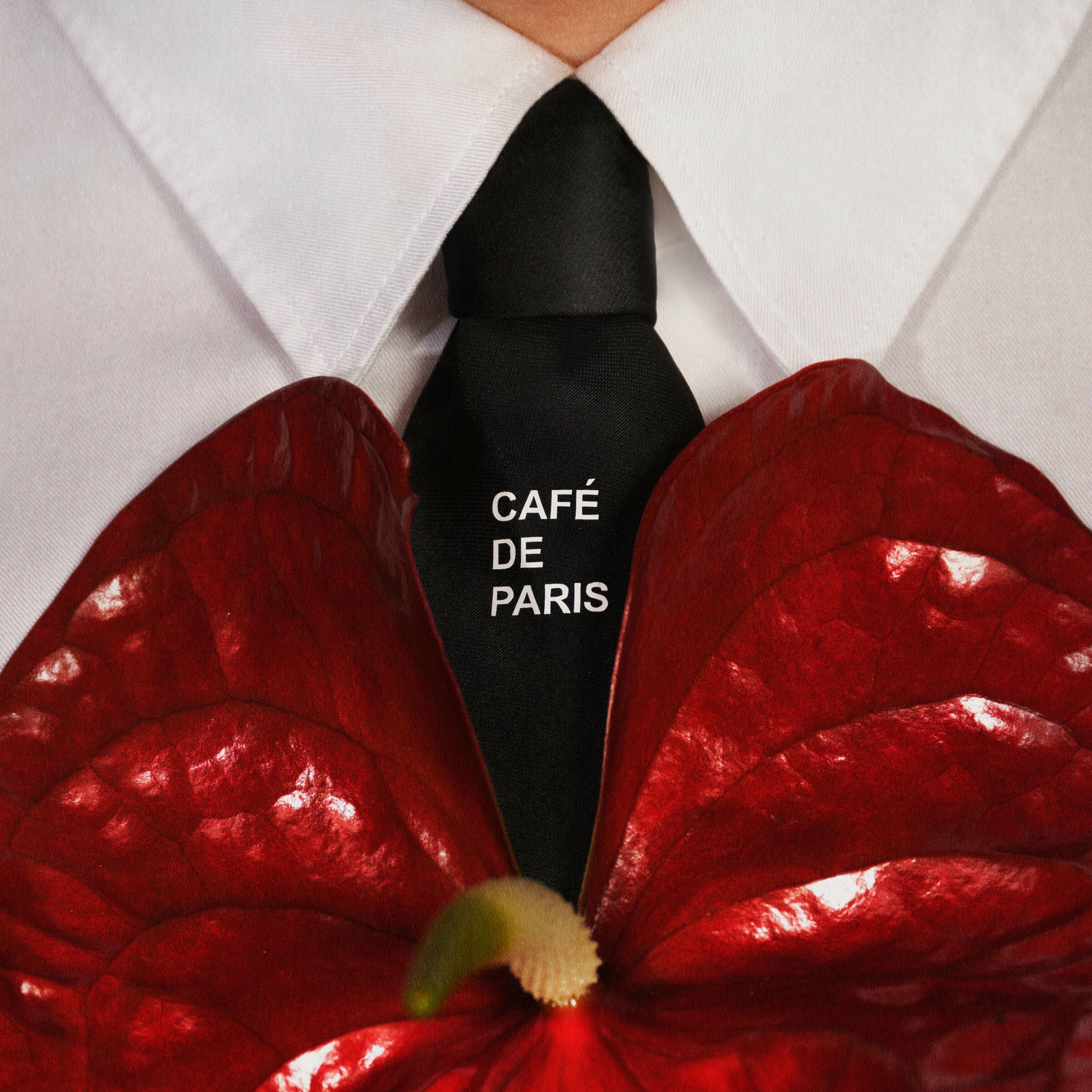 Album cover of Café de Paris