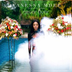 Cover of Never Ever
