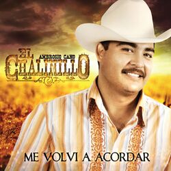 Cover of Me Volvía A Acordar