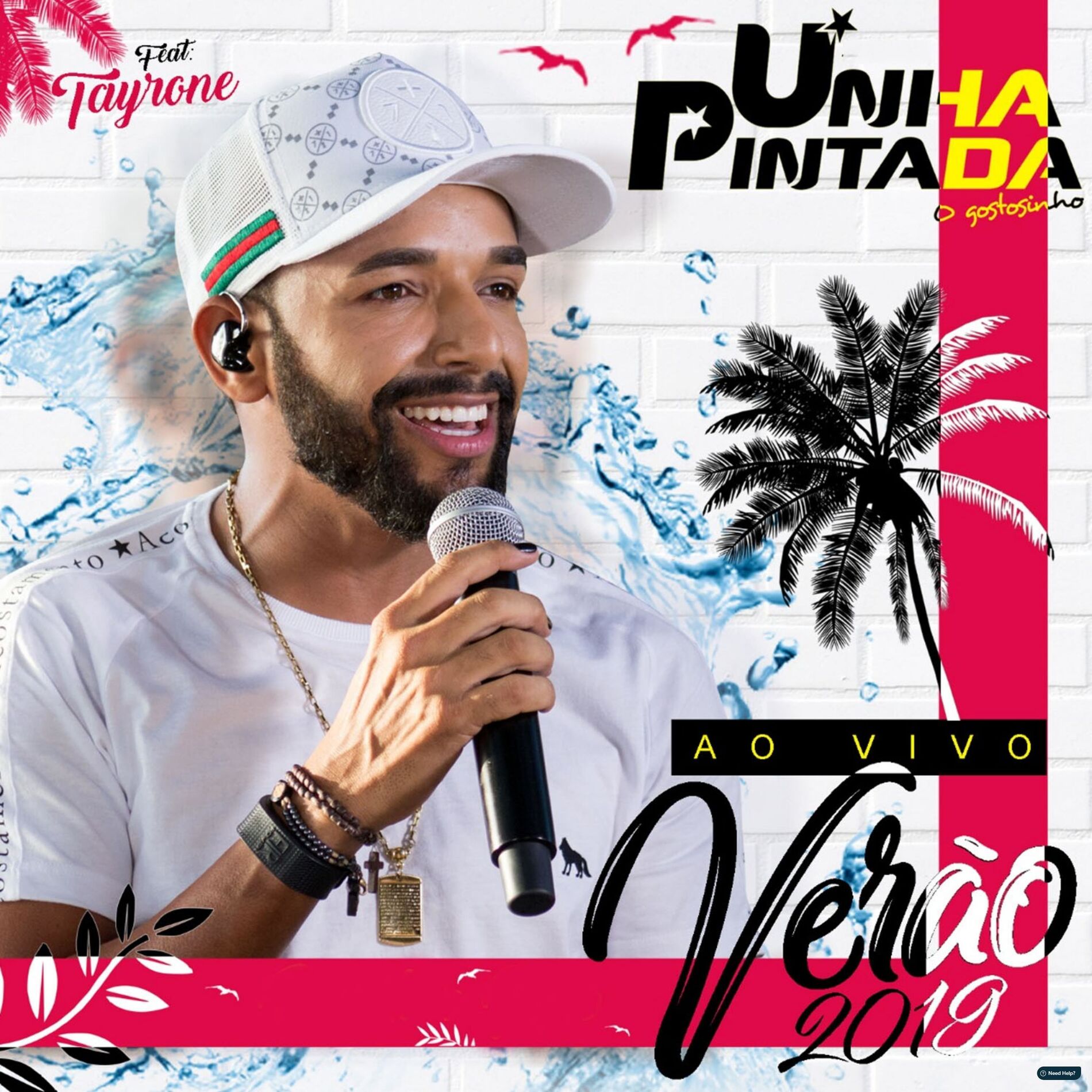 Album cover of O Gostosinho - Ao Vivo - Verao 2019
