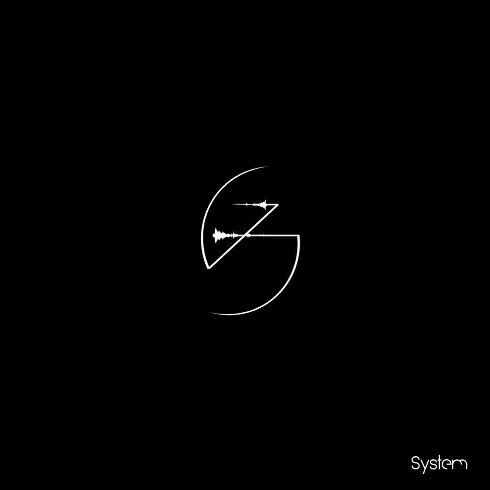 Picture of System