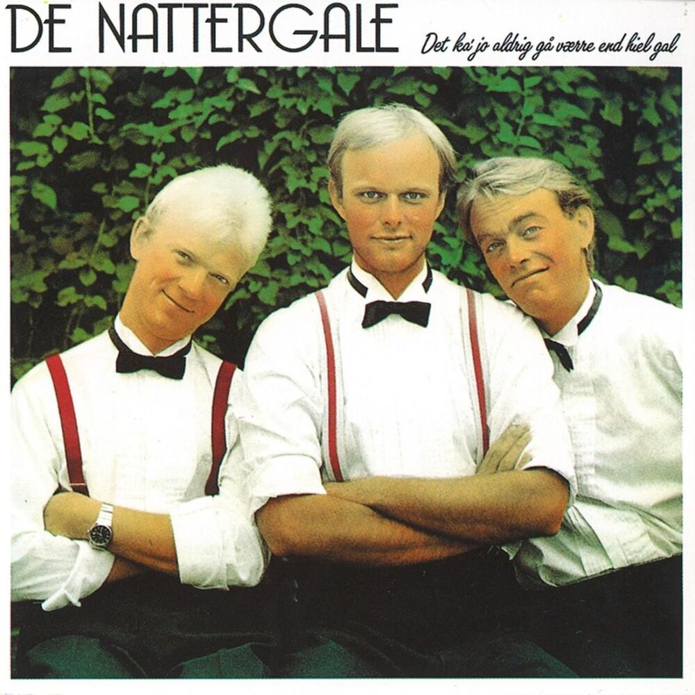 Picture of Det Ka' Jo Aldrig Gå Værre End Hiel Gal
